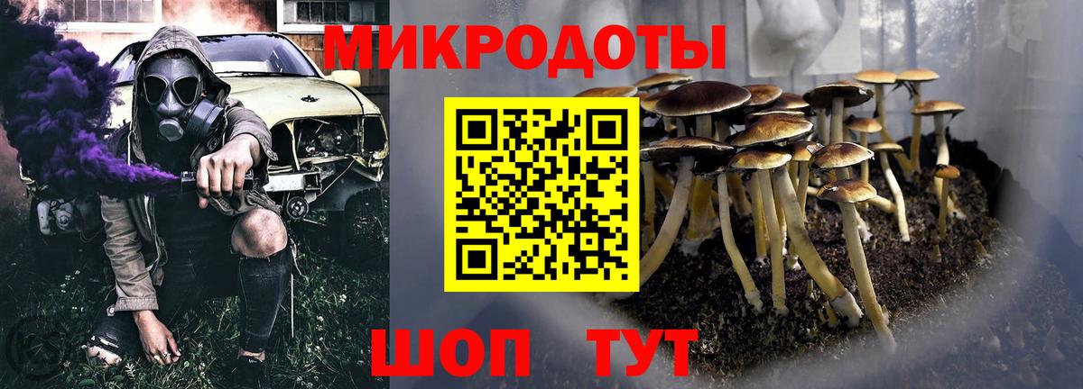 Псилоцибиновые грибы GOLDEN TEACHER Аша